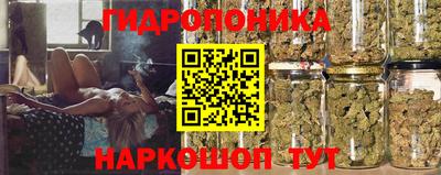 не бодяженный Кингисепп