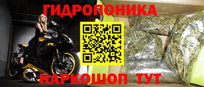 СК Кинель