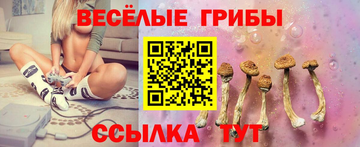 Псилоцибиновые грибы мицелий  Вход с VPN  Котлас 